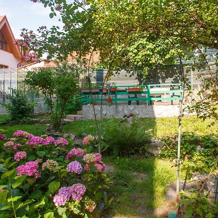 Barok Apartments براشوف المظهر الخارجي الصورة